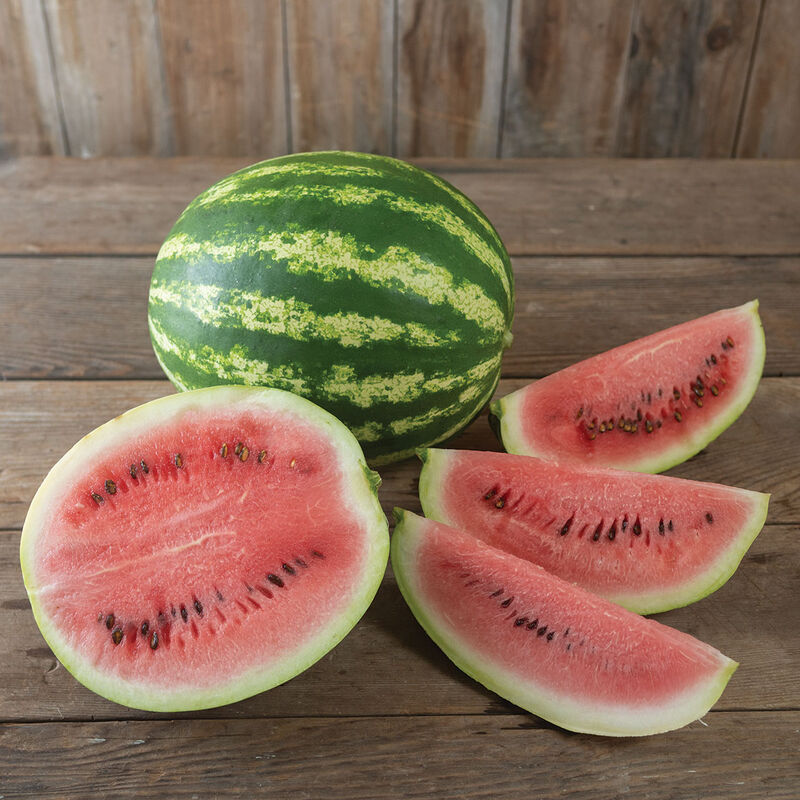 Pastèque Crimson Sweet NOVARA